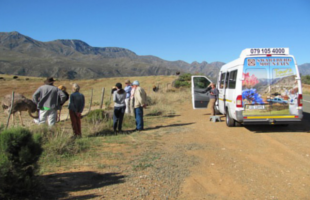 Swartberg-Mountain-Tours