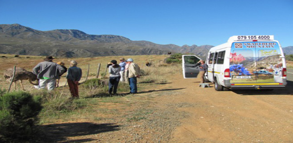 Swartberg-Mountain-Tours1